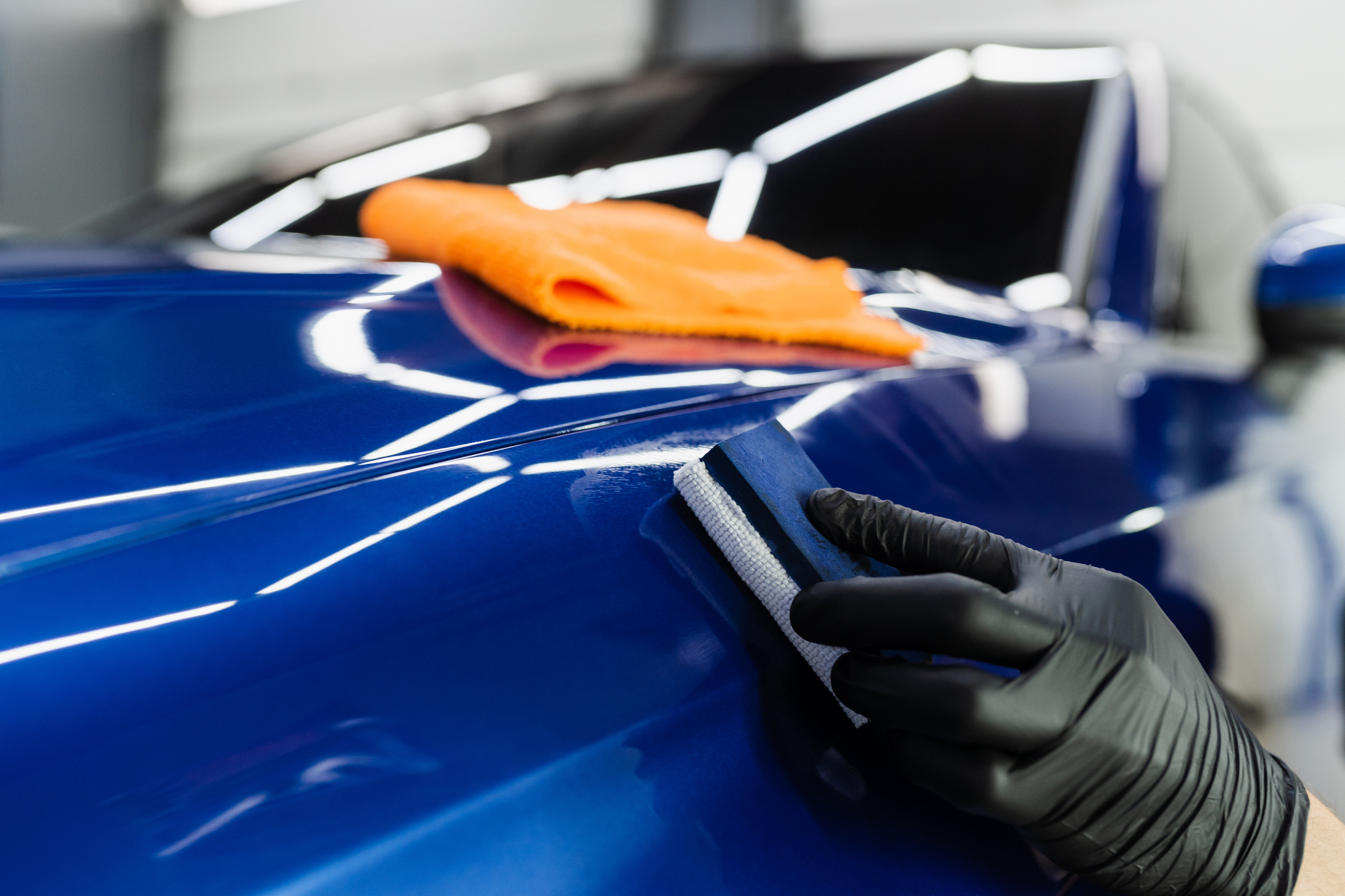 Autoestetika 5